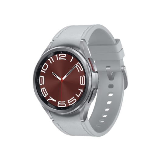 SAMSUNG Watch 6 Classic (43mm) Gümüş Akıllı Saat