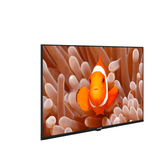 A40K 694G HOTEL TV Hotel Tv